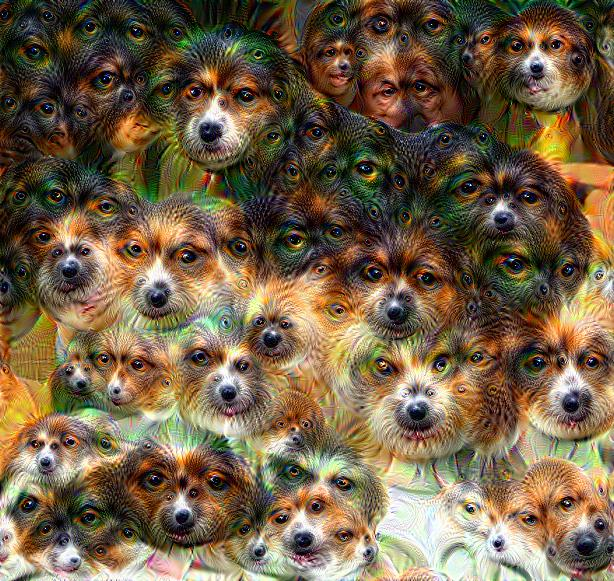 google_deep_dream.png